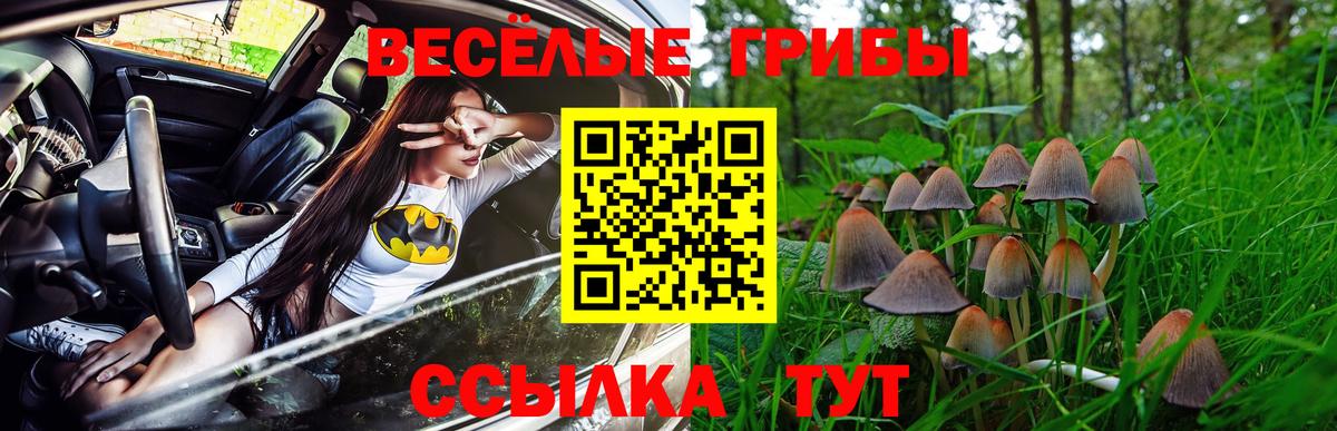 Псилоцибиновые грибы мухоморы Каменск-Шахтинский