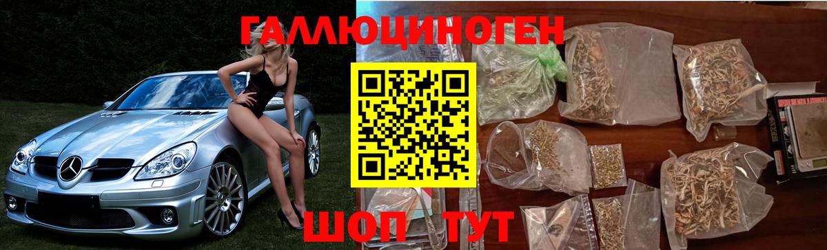 Галлюциногенные грибы Psilocybine cubensis  Псилоцибиновые грибы мицелий  Вход с VPN  Каменск-Шахтинский 